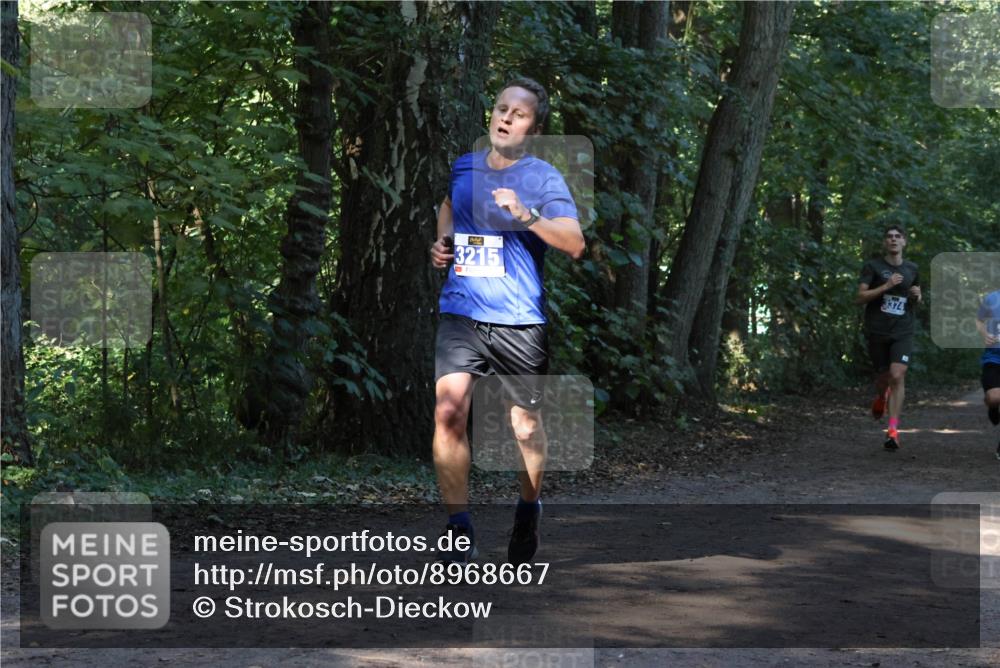 28.09.2025 - 33. Volkslauf durch das schöne Alstertal Strokosch-Dieckow http://msf.ph/oto/8968667 28.09.2025 11:11:05 Laufen 3215 meine-sportfotos.de