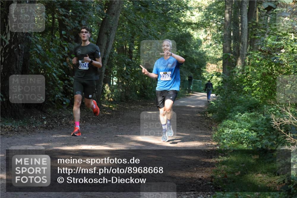 28.09.2025 - 33. Volkslauf durch das schöne Alstertal Strokosch-Dieckow http://msf.ph/oto/8968668 28.09.2025 11:11:08 Laufen 3374, 3392 meine-sportfotos.de