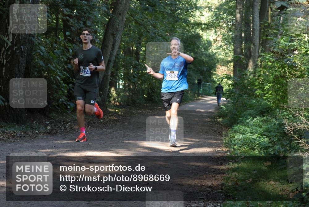 28.09.2025 - 33. Volkslauf durch das schöne Alstertal Strokosch-Dieckow http://msf.ph/oto/8968669 28.09.2025 11:11:08 Laufen 3392, 3374 meine-sportfotos.de