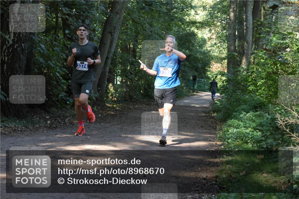 28.09.2025 - 33. Volkslauf durch das schöne Alstertal Strokosch-Dieckow http://msf.ph/oto/8968670 28.09.2025 11:11:08 Laufen 3374, 3392 meine-sportfotos.de