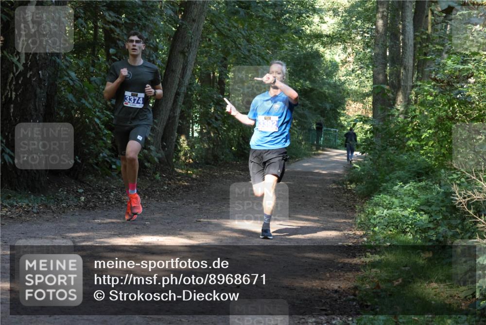 28.09.2025 - 33. Volkslauf durch das schöne Alstertal Strokosch-Dieckow http://msf.ph/oto/8968671 28.09.2025 11:11:08 Laufen 3374, 13392 meine-sportfotos.de