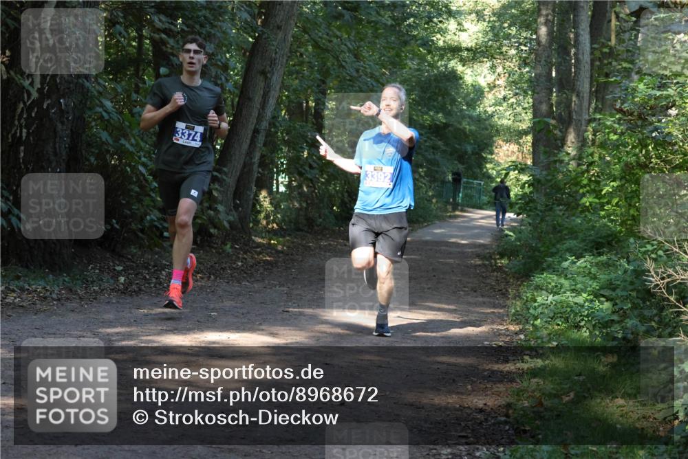 28.09.2025 - 33. Volkslauf durch das schöne Alstertal Strokosch-Dieckow http://msf.ph/oto/8968672 28.09.2025 11:11:08 Laufen 3374, 3392 meine-sportfotos.de