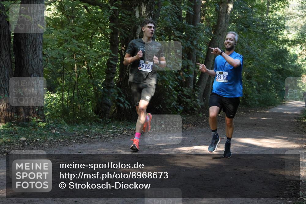 28.09.2025 - 33. Volkslauf durch das schöne Alstertal Strokosch-Dieckow http://msf.ph/oto/8968673 28.09.2025 11:11:09 Laufen 3374, 3392 meine-sportfotos.de