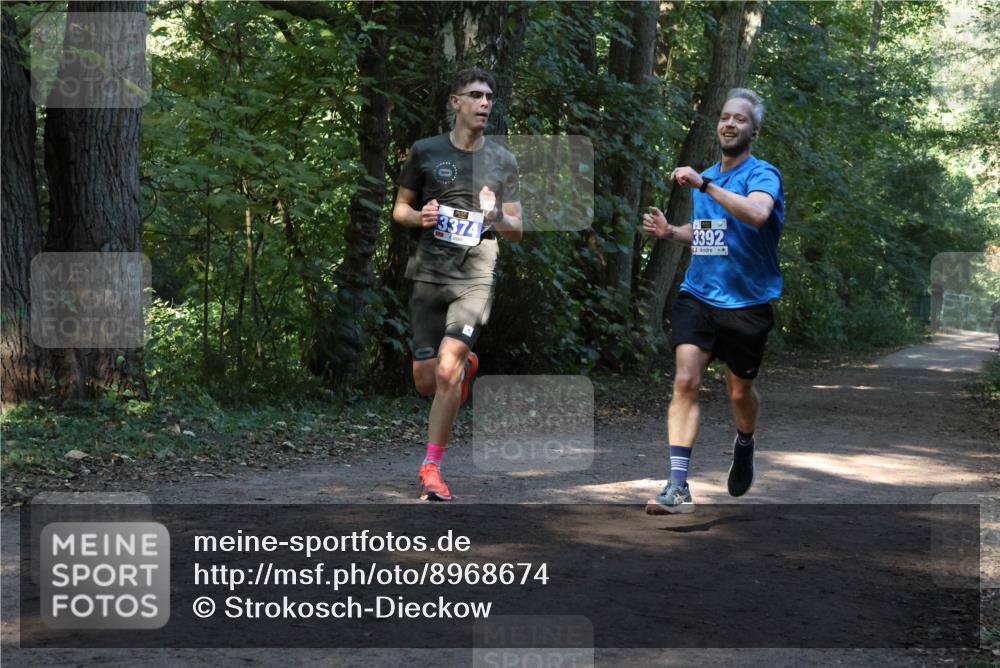 28.09.2025 - 33. Volkslauf durch das schöne Alstertal Strokosch-Dieckow http://msf.ph/oto/8968674 28.09.2025 11:11:09 Laufen 3374, 3392 meine-sportfotos.de