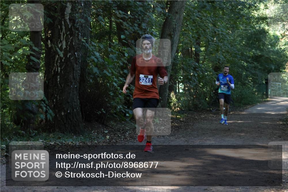 28.09.2025 - 33. Volkslauf durch das schöne Alstertal Strokosch-Dieckow http://msf.ph/oto/8968677 28.09.2025 11:11:53 Laufen 3241, 3365 meine-sportfotos.de