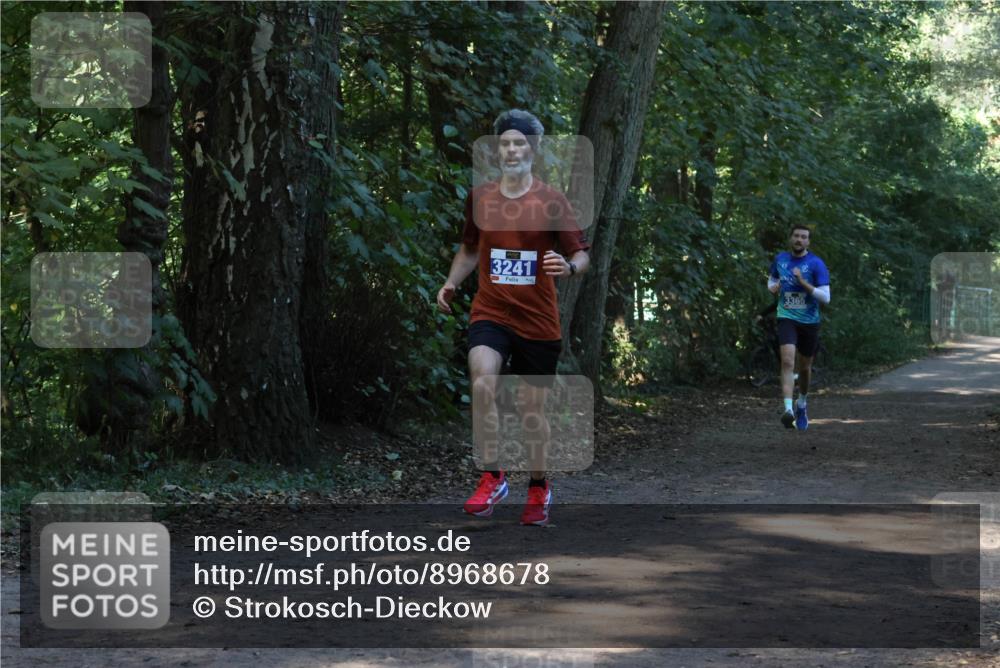28.09.2025 - 33. Volkslauf durch das schöne Alstertal Strokosch-Dieckow http://msf.ph/oto/8968678 28.09.2025 11:11:54 Laufen 3241, 3365 meine-sportfotos.de