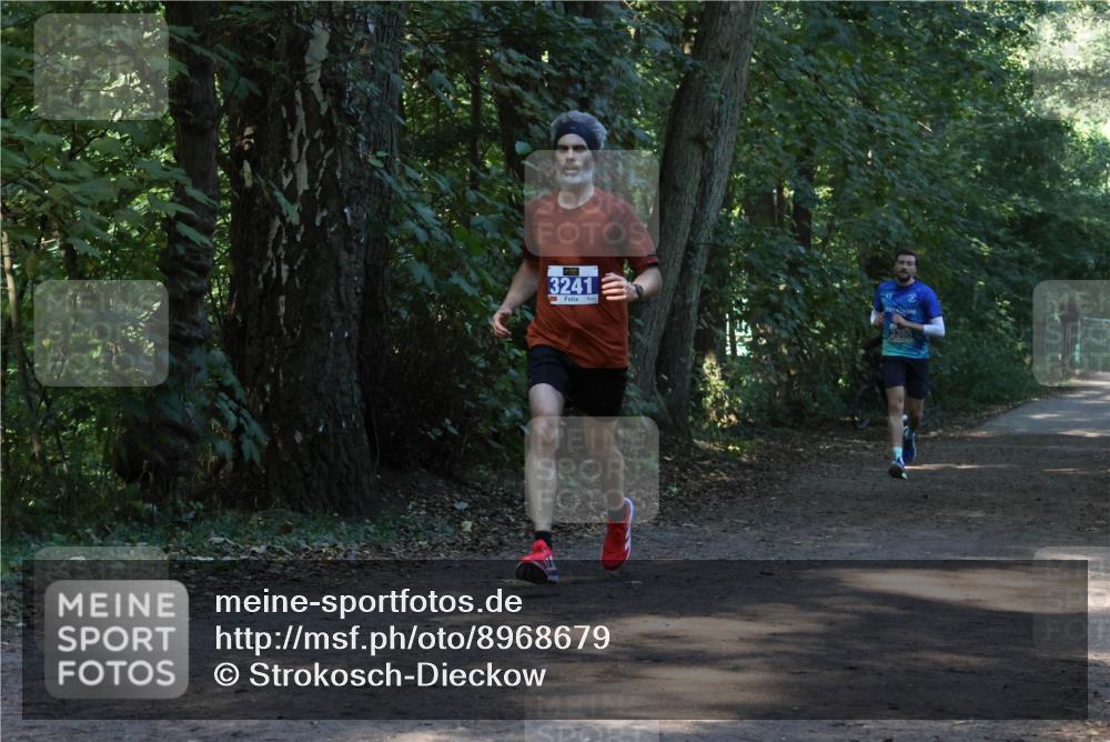28.09.2025 - 33. Volkslauf durch das schöne Alstertal Strokosch-Dieckow http://msf.ph/oto/8968679 28.09.2025 11:11:54 Laufen 3241, 3365 meine-sportfotos.de