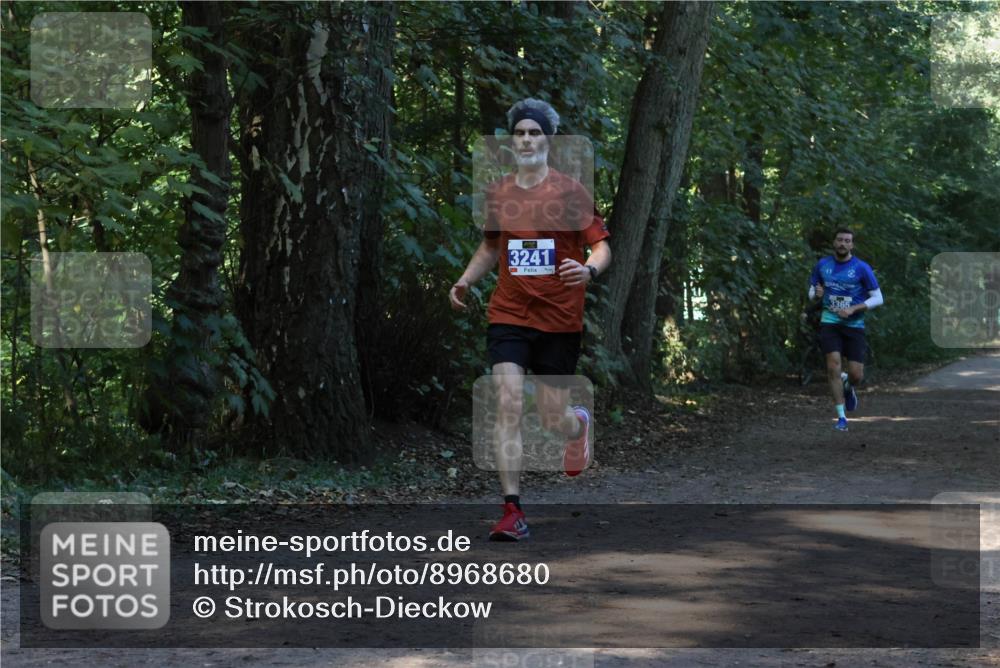 28.09.2025 - 33. Volkslauf durch das schöne Alstertal Strokosch-Dieckow http://msf.ph/oto/8968680 28.09.2025 11:11:54 Laufen 3241, 3365 meine-sportfotos.de