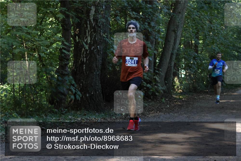 28.09.2025 - 33. Volkslauf durch das schöne Alstertal Strokosch-Dieckow http://msf.ph/oto/8968683 28.09.2025 11:11:54 Laufen 3241, 3365 meine-sportfotos.de