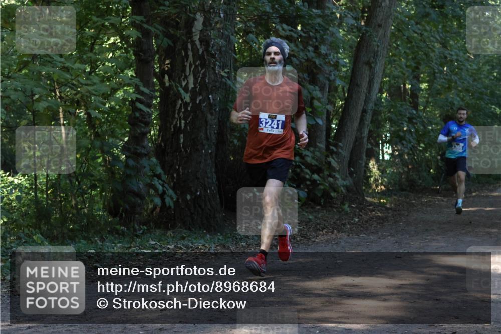 28.09.2025 - 33. Volkslauf durch das schöne Alstertal Strokosch-Dieckow http://msf.ph/oto/8968684 28.09.2025 11:11:54 Laufen 3241 meine-sportfotos.de