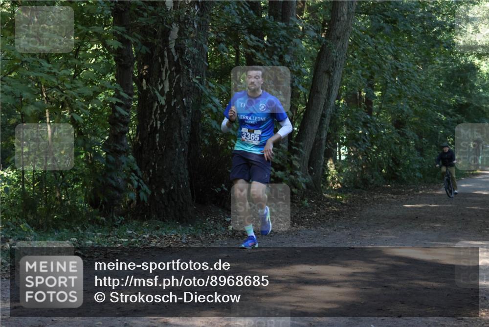 28.09.2025 - 33. Volkslauf durch das schöne Alstertal Strokosch-Dieckow http://msf.ph/oto/8968685 28.09.2025 11:11:57 Laufen 3365 meine-sportfotos.de