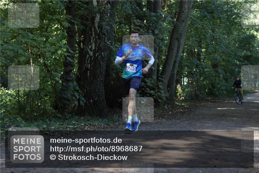28.09.2025 - 33. Volkslauf durch das schöne Alstertal Strokosch-Dieckow http://msf.ph/oto/8968687 28.09.2025 11:11:58 Laufen 3365 meine-sportfotos.de