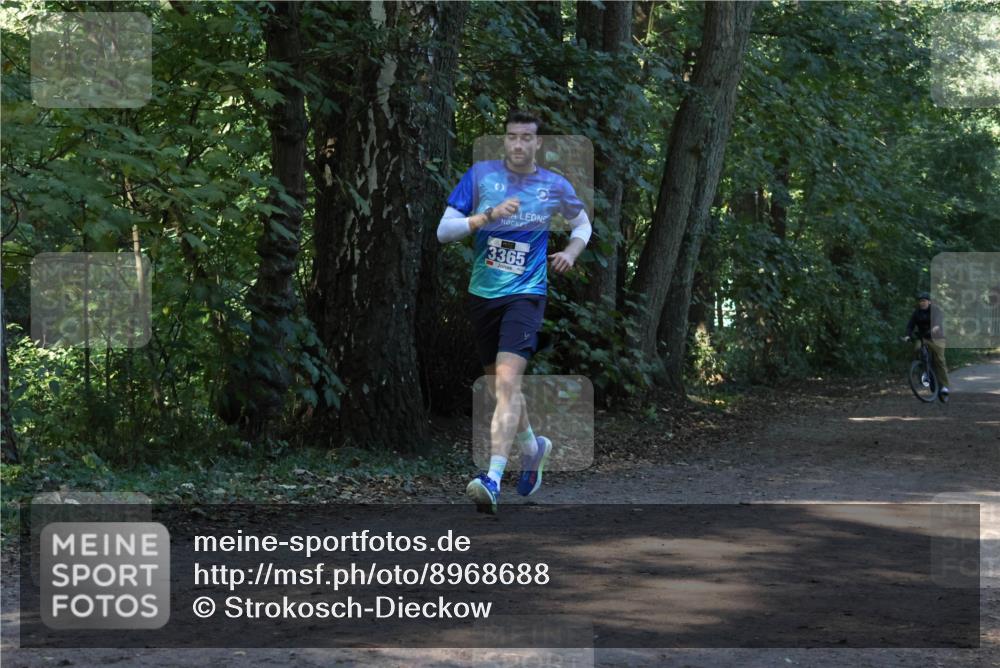 28.09.2025 - 33. Volkslauf durch das schöne Alstertal Strokosch-Dieckow http://msf.ph/oto/8968688 28.09.2025 11:11:58 Laufen 3365 meine-sportfotos.de