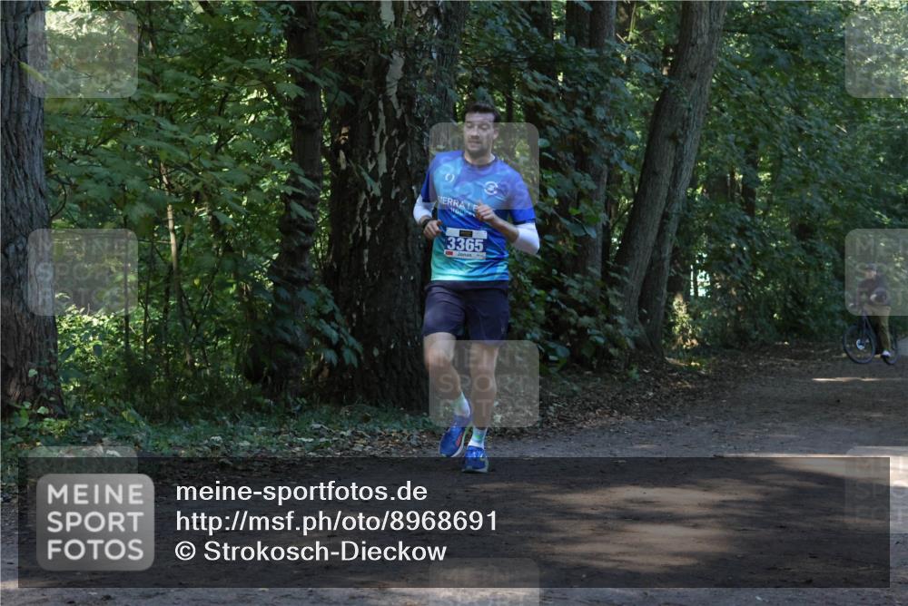 28.09.2025 - 33. Volkslauf durch das schöne Alstertal Strokosch-Dieckow http://msf.ph/oto/8968691 28.09.2025 11:11:58 Laufen 3365 meine-sportfotos.de