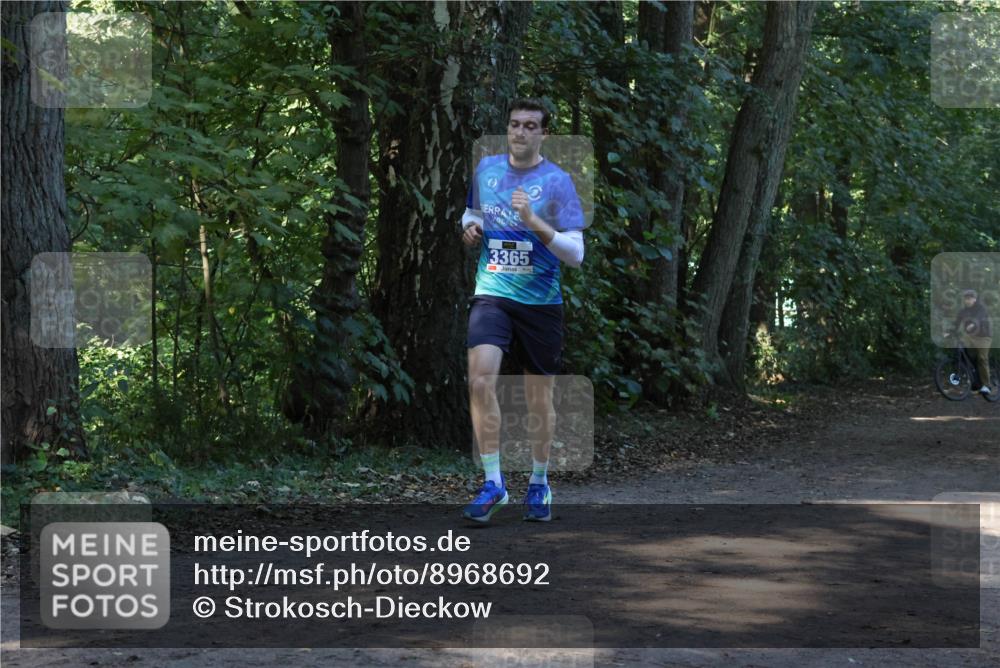 28.09.2025 - 33. Volkslauf durch das schöne Alstertal Strokosch-Dieckow http://msf.ph/oto/8968692 28.09.2025 11:11:58 Laufen 3365 meine-sportfotos.de