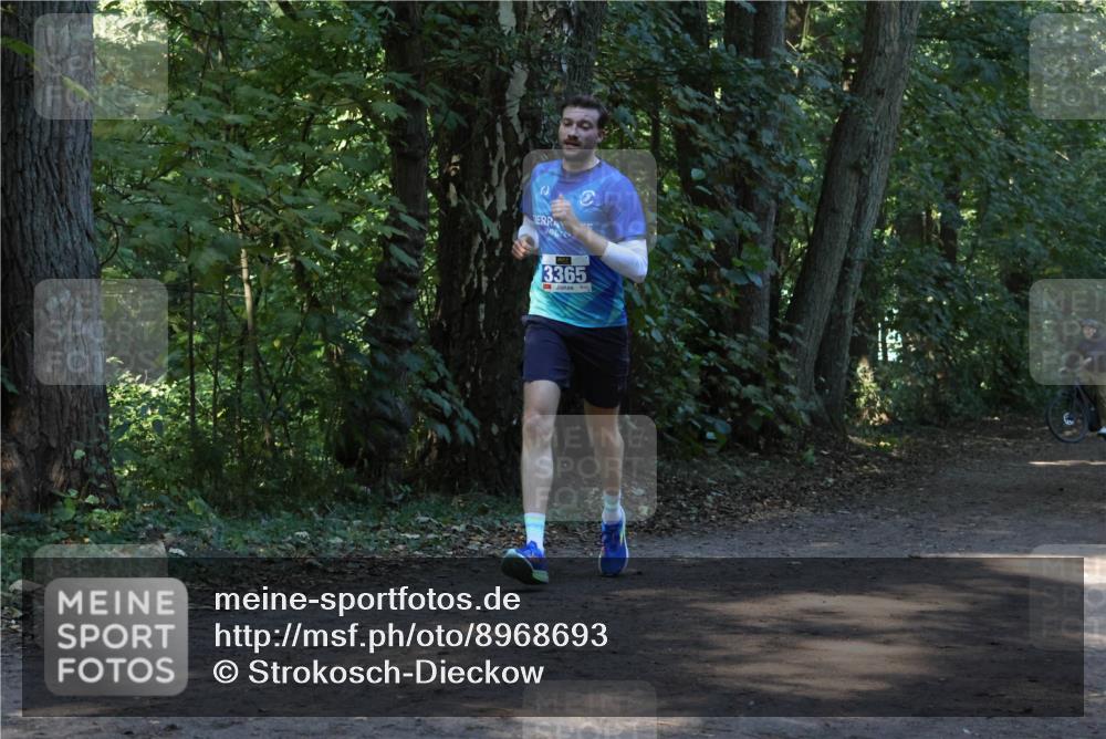 28.09.2025 - 33. Volkslauf durch das schöne Alstertal Strokosch-Dieckow http://msf.ph/oto/8968693 28.09.2025 11:11:58 Laufen 3365 meine-sportfotos.de