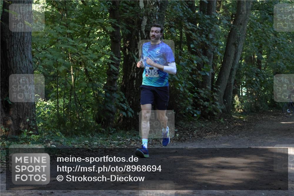 28.09.2025 - 33. Volkslauf durch das schöne Alstertal Strokosch-Dieckow http://msf.ph/oto/8968694 28.09.2025 11:11:58 Laufen 3365 meine-sportfotos.de