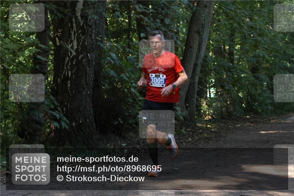 28.09.2025 - 33. Volkslauf durch das schöne Alstertal Strokosch-Dieckow http://msf.ph/oto/8968695 28.09.2025 11:12:44 Laufen 3005 meine-sportfotos.de