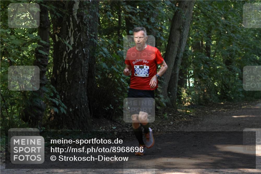 28.09.2025 - 33. Volkslauf durch das schöne Alstertal Strokosch-Dieckow http://msf.ph/oto/8968696 28.09.2025 11:12:44 Laufen 3005 meine-sportfotos.de
