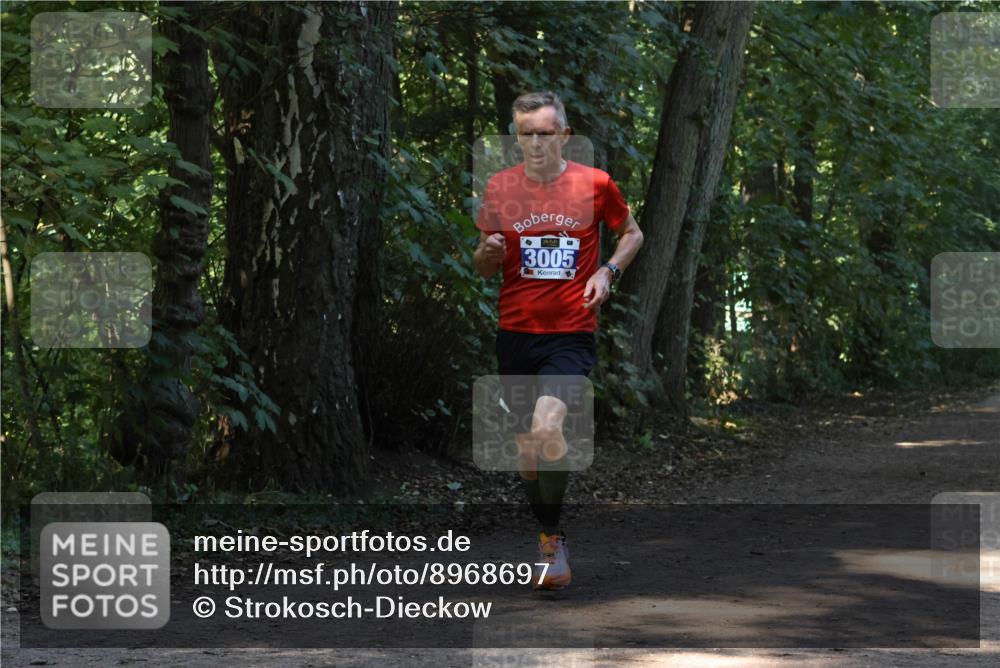 28.09.2025 - 33. Volkslauf durch das schöne Alstertal Strokosch-Dieckow http://msf.ph/oto/8968697 28.09.2025 11:12:44 Laufen 3005 meine-sportfotos.de