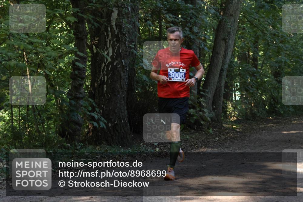 28.09.2025 - 33. Volkslauf durch das schöne Alstertal Strokosch-Dieckow http://msf.ph/oto/8968699 28.09.2025 11:12:44 Laufen 3005 meine-sportfotos.de