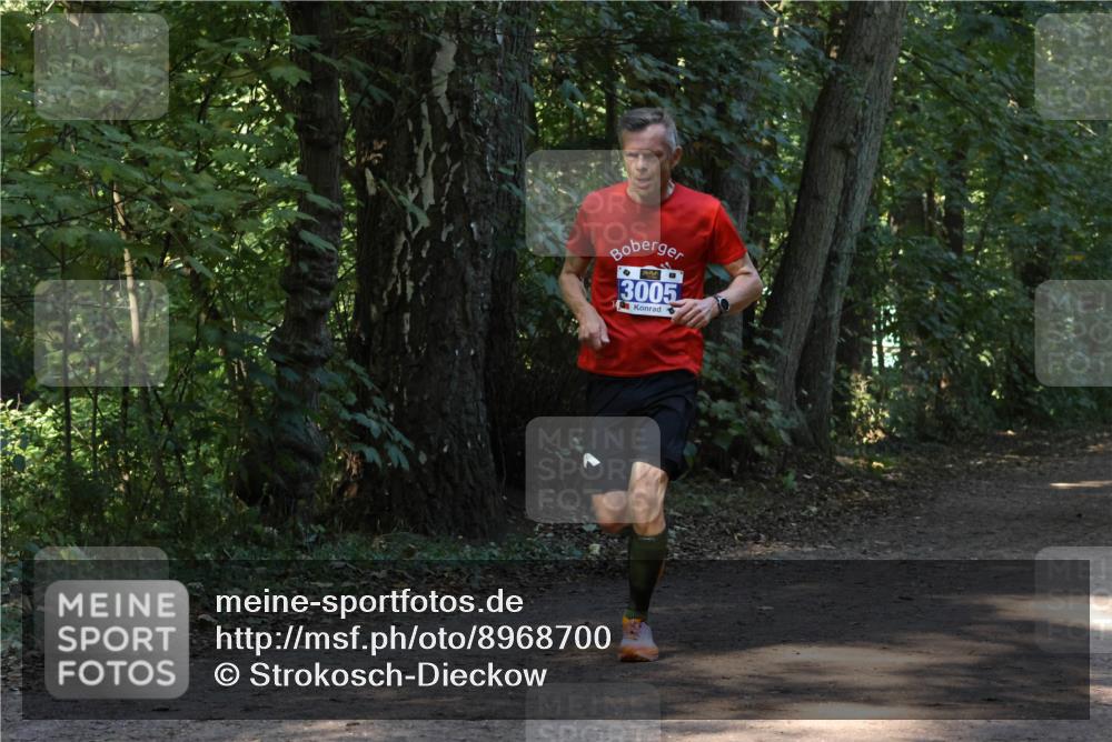 28.09.2025 - 33. Volkslauf durch das schöne Alstertal Strokosch-Dieckow http://msf.ph/oto/8968700 28.09.2025 11:12:44 Laufen 3005 meine-sportfotos.de