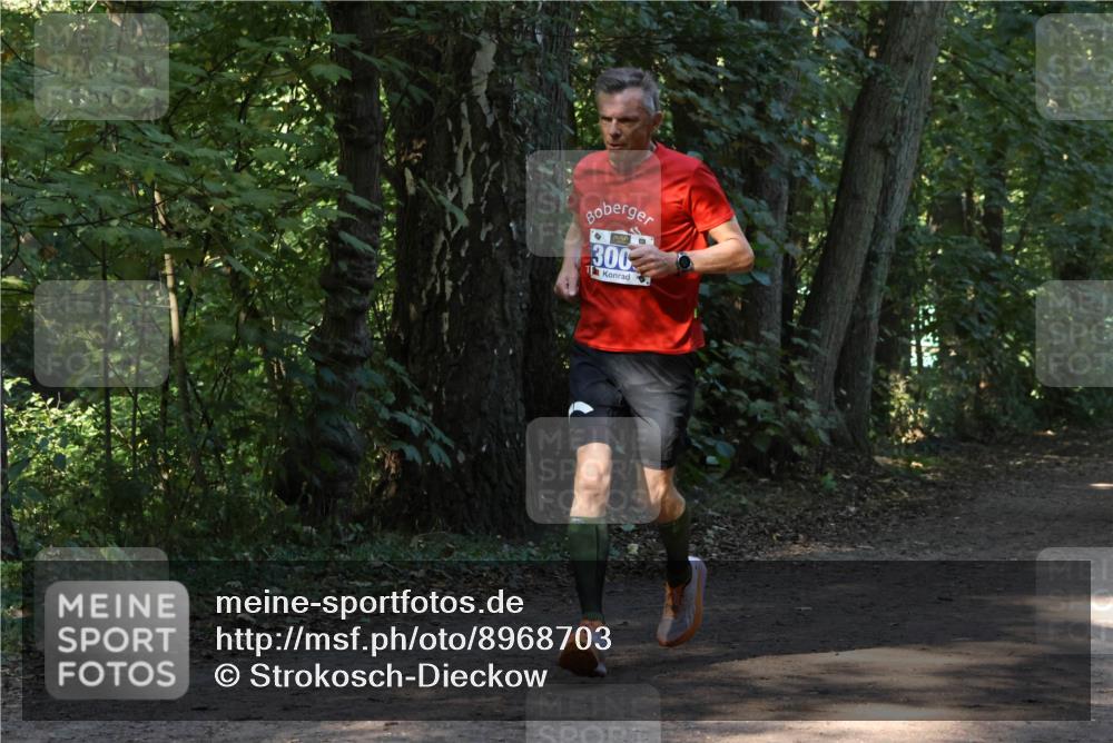 28.09.2025 - 33. Volkslauf durch das schöne Alstertal Strokosch-Dieckow http://msf.ph/oto/8968703 28.09.2025 11:12:44 Laufen 300 meine-sportfotos.de