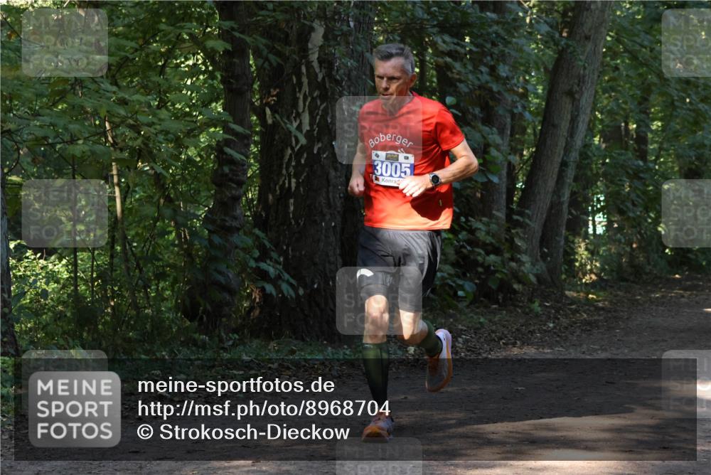 28.09.2025 - 33. Volkslauf durch das schöne Alstertal Strokosch-Dieckow http://msf.ph/oto/8968704 28.09.2025 11:12:45 Laufen 3005 meine-sportfotos.de
