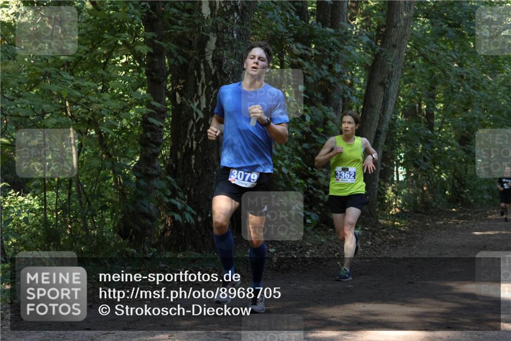 28.09.2025 - 33. Volkslauf durch das schöne Alstertal Strokosch-Dieckow http://msf.ph/oto/8968705 28.09.2025 11:13:02 Laufen 3079, 3362 meine-sportfotos.de