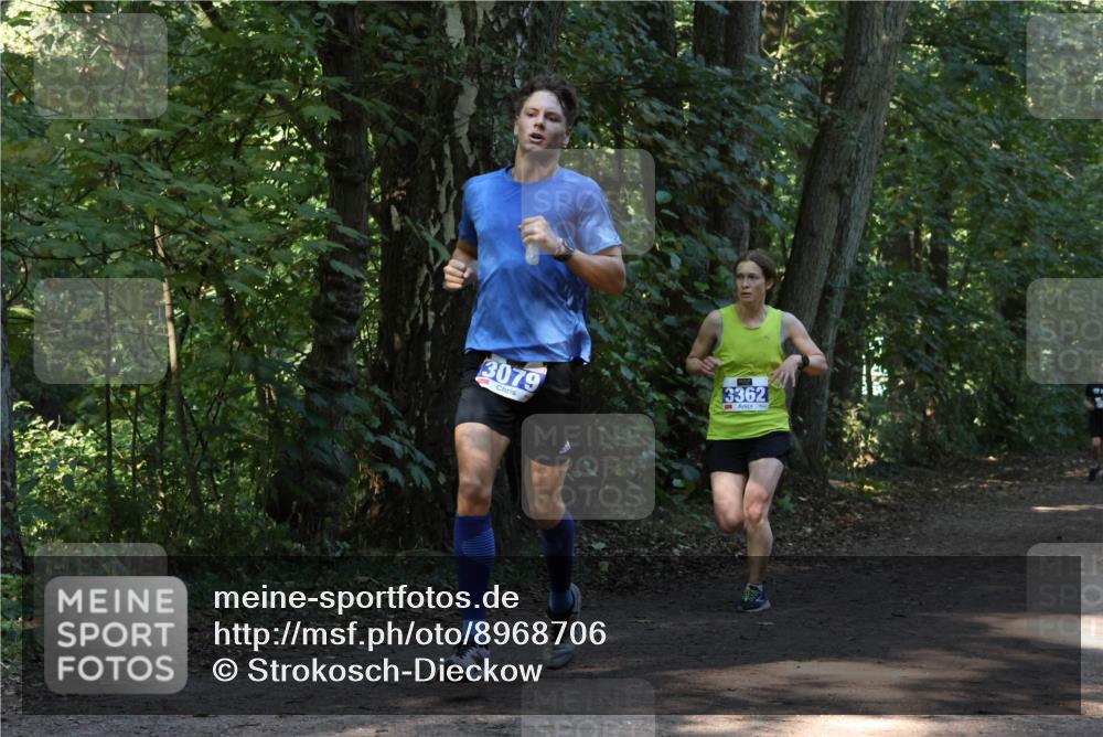 28.09.2025 - 33. Volkslauf durch das schöne Alstertal Strokosch-Dieckow http://msf.ph/oto/8968706 28.09.2025 11:13:02 Laufen 3079, 3362 meine-sportfotos.de