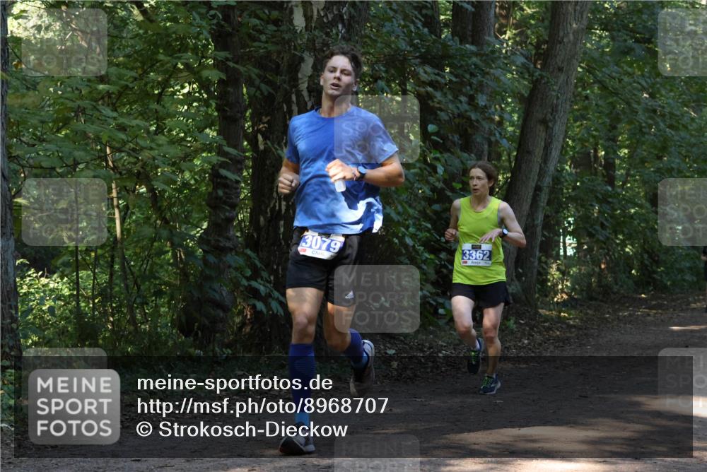 28.09.2025 - 33. Volkslauf durch das schöne Alstertal Strokosch-Dieckow http://msf.ph/oto/8968707 28.09.2025 11:13:03 Laufen 3079, 3362 meine-sportfotos.de