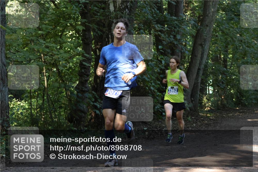 28.09.2025 - 33. Volkslauf durch das schöne Alstertal Strokosch-Dieckow http://msf.ph/oto/8968708 28.09.2025 11:13:03 Laufen 3079, 3362 meine-sportfotos.de