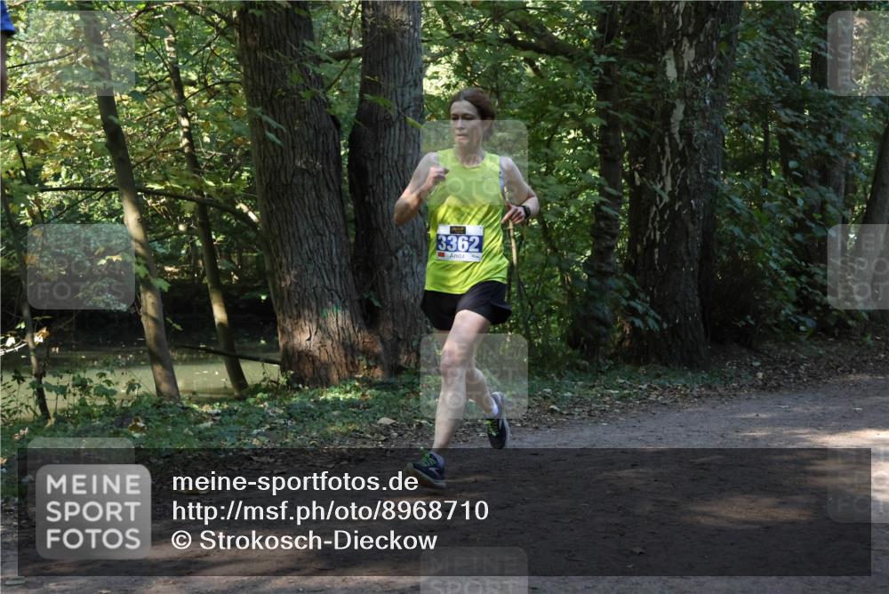 28.09.2025 - 33. Volkslauf durch das schöne Alstertal Strokosch-Dieckow http://msf.ph/oto/8968710 28.09.2025 11:13:04 Laufen 3362 meine-sportfotos.de