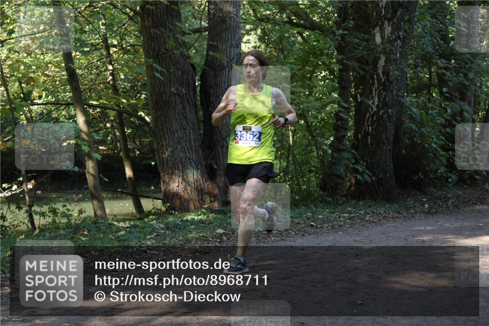 28.09.2025 - 33. Volkslauf durch das schöne Alstertal Strokosch-Dieckow http://msf.ph/oto/8968711 28.09.2025 11:13:04 Laufen 3362 meine-sportfotos.de