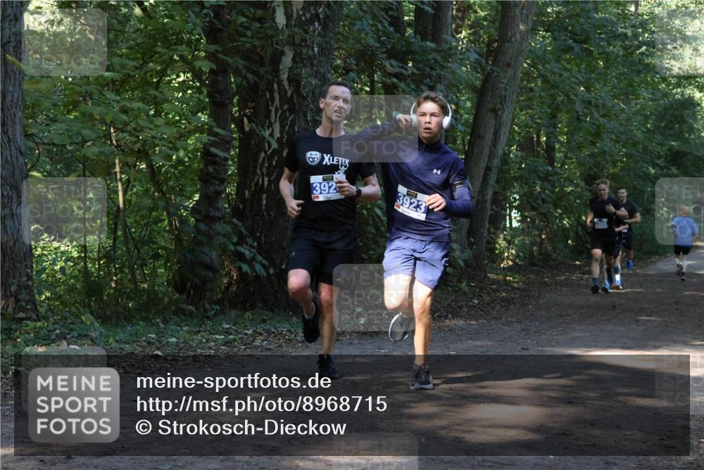 28.09.2025 - 33. Volkslauf durch das schöne Alstertal Strokosch-Dieckow http://msf.ph/oto/8968715 28.09.2025 11:13:14 Laufen 392, 3923, 3366 meine-sportfotos.de