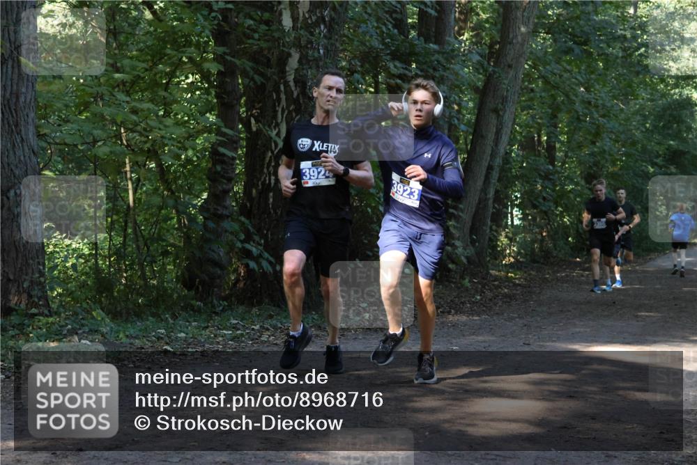 28.09.2025 - 33. Volkslauf durch das schöne Alstertal Strokosch-Dieckow http://msf.ph/oto/8968716 28.09.2025 11:13:14 Laufen 057, 3924, 3923 meine-sportfotos.de