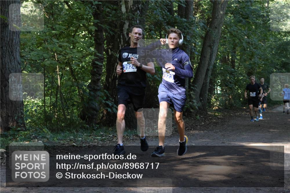 28.09.2025 - 33. Volkslauf durch das schöne Alstertal Strokosch-Dieckow http://msf.ph/oto/8968717 28.09.2025 11:13:14 Laufen 057, 3924, 3923, 3366 meine-sportfotos.de