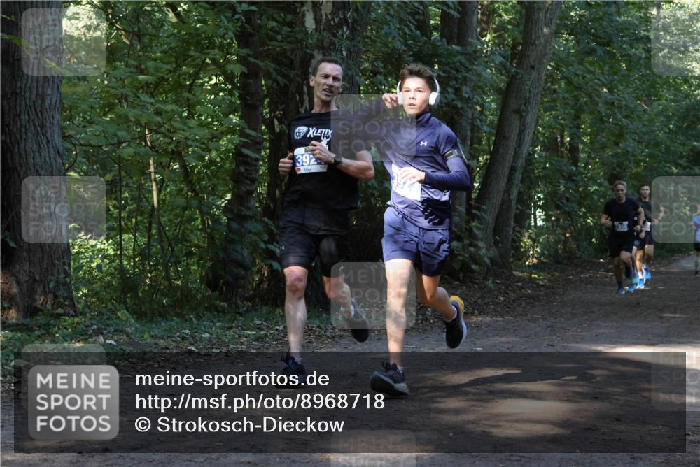 28.09.2025 - 33. Volkslauf durch das schöne Alstertal Strokosch-Dieckow http://msf.ph/oto/8968718 28.09.2025 11:13:14 Laufen 392 meine-sportfotos.de