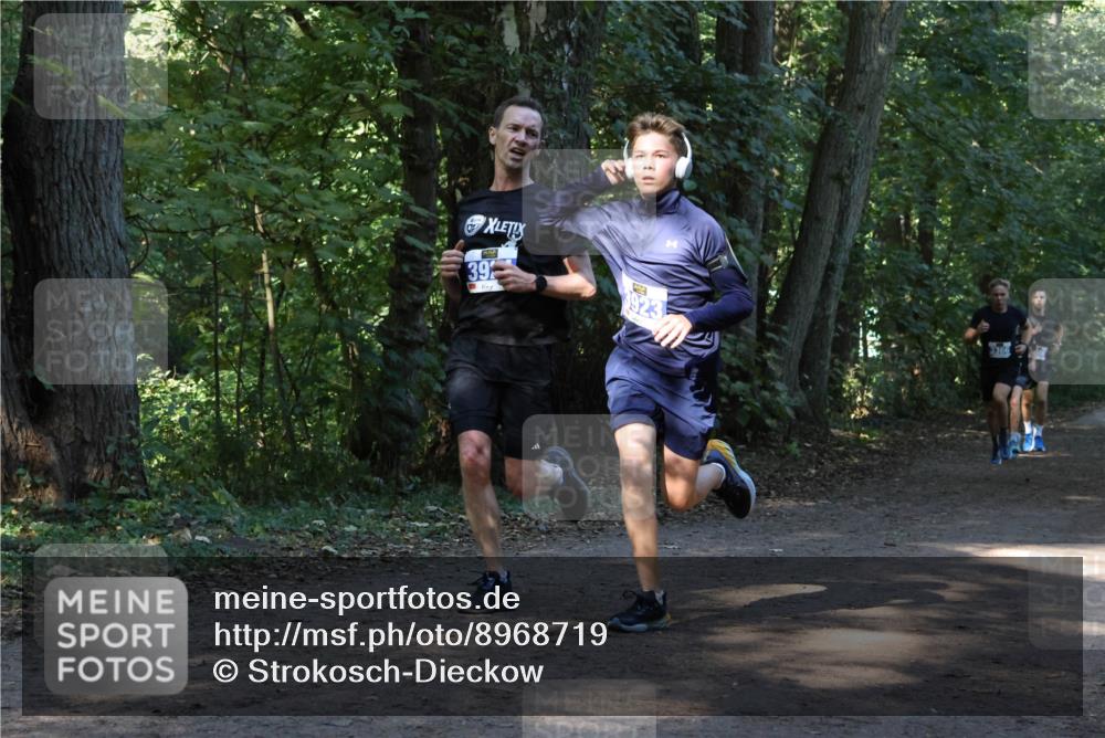 28.09.2025 - 33. Volkslauf durch das schöne Alstertal Strokosch-Dieckow http://msf.ph/oto/8968719 28.09.2025 11:13:14 Laufen 39 meine-sportfotos.de