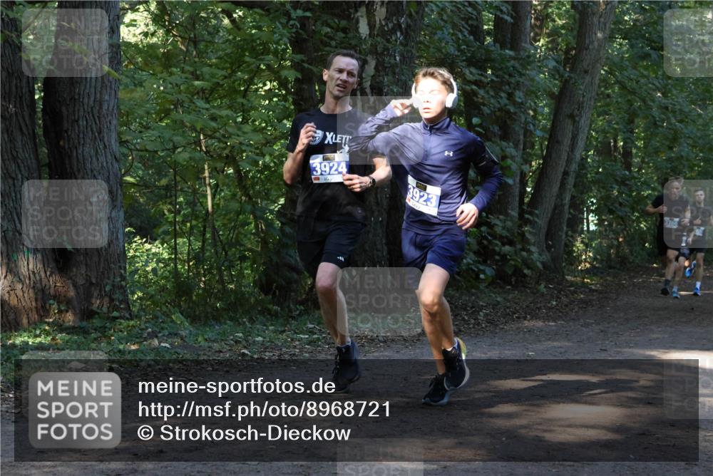 28.09.2025 - 33. Volkslauf durch das schöne Alstertal Strokosch-Dieckow http://msf.ph/oto/8968721 28.09.2025 11:13:14 Laufen 3924, 3923, 3366 meine-sportfotos.de