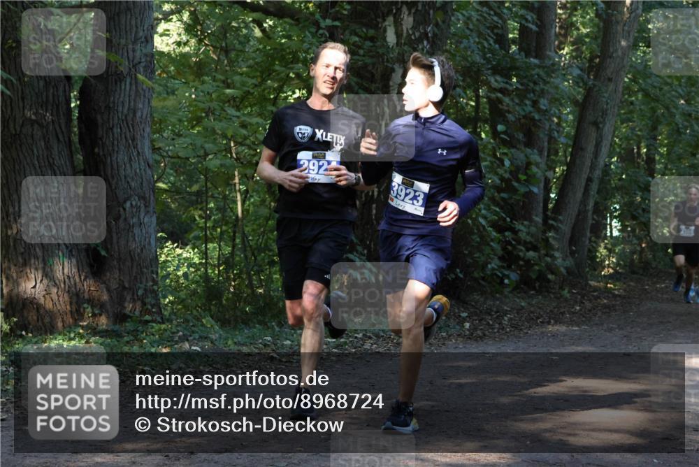 28.09.2025 - 33. Volkslauf durch das schöne Alstertal Strokosch-Dieckow http://msf.ph/oto/8968724 28.09.2025 11:13:15 Laufen 05, 392, 3923 meine-sportfotos.de