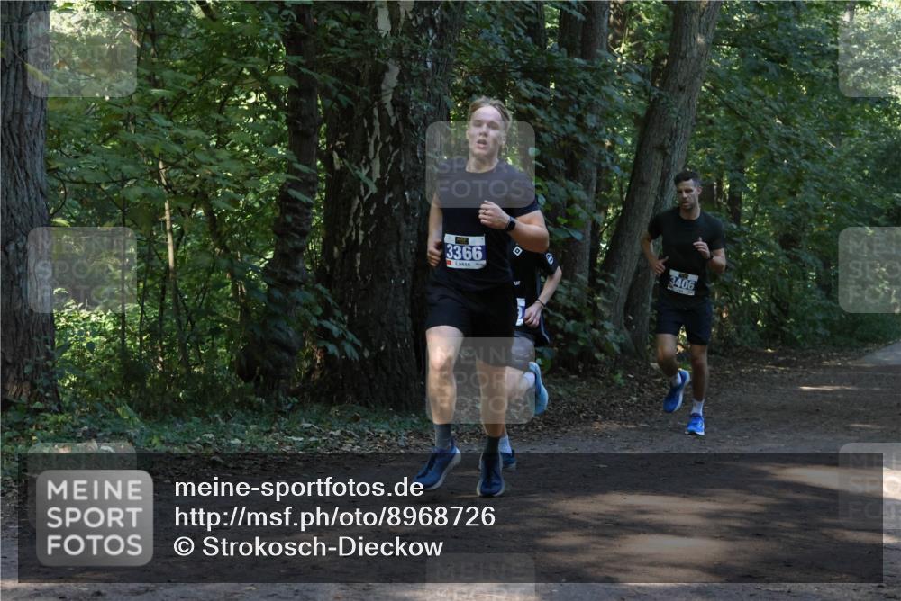 28.09.2025 - 33. Volkslauf durch das schöne Alstertal Strokosch-Dieckow http://msf.ph/oto/8968726 28.09.2025 11:13:18 Laufen 3366, 3406 meine-sportfotos.de