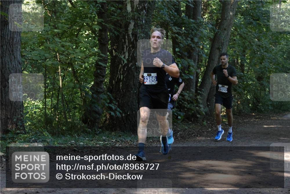 28.09.2025 - 33. Volkslauf durch das schöne Alstertal Strokosch-Dieckow http://msf.ph/oto/8968727 28.09.2025 11:13:18 Laufen 3366, 3406 meine-sportfotos.de