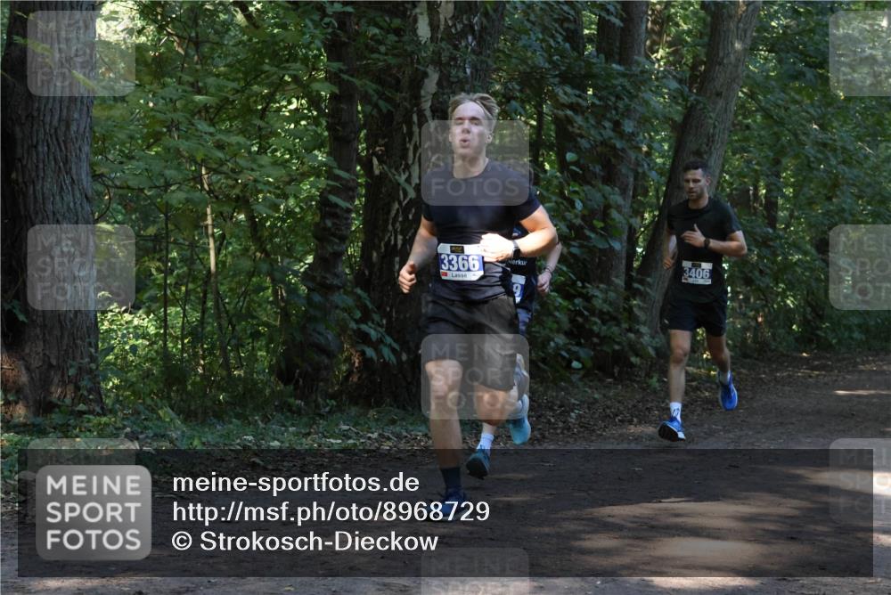28.09.2025 - 33. Volkslauf durch das schöne Alstertal Strokosch-Dieckow http://msf.ph/oto/8968729 28.09.2025 11:13:19 Laufen 3366, 3406 meine-sportfotos.de