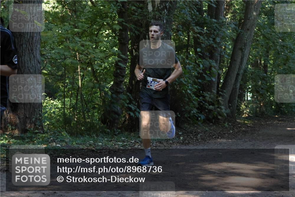 28.09.2025 - 33. Volkslauf durch das schöne Alstertal Strokosch-Dieckow http://msf.ph/oto/8968736 28.09.2025 11:13:20 Laufen 340 meine-sportfotos.de