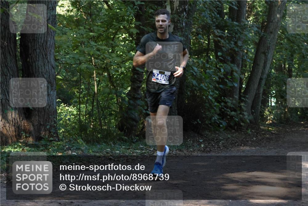 28.09.2025 - 33. Volkslauf durch das schöne Alstertal Strokosch-Dieckow http://msf.ph/oto/8968739 28.09.2025 11:13:20 Laufen 3406 meine-sportfotos.de