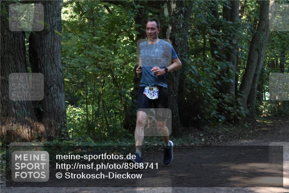 28.09.2025 - 33. Volkslauf durch das schöne Alstertal Strokosch-Dieckow http://msf.ph/oto/8968741 28.09.2025 11:14:23 Laufen  meine-sportfotos.de