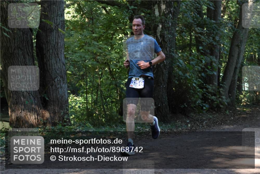 28.09.2025 - 33. Volkslauf durch das schöne Alstertal Strokosch-Dieckow http://msf.ph/oto/8968742 28.09.2025 11:14:23 Laufen 3256 meine-sportfotos.de