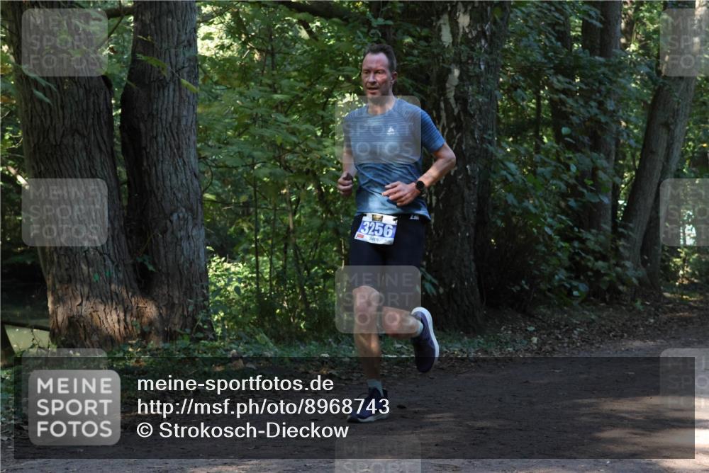 28.09.2025 - 33. Volkslauf durch das schöne Alstertal Strokosch-Dieckow http://msf.ph/oto/8968743 28.09.2025 11:14:23 Laufen 3256, 23 meine-sportfotos.de