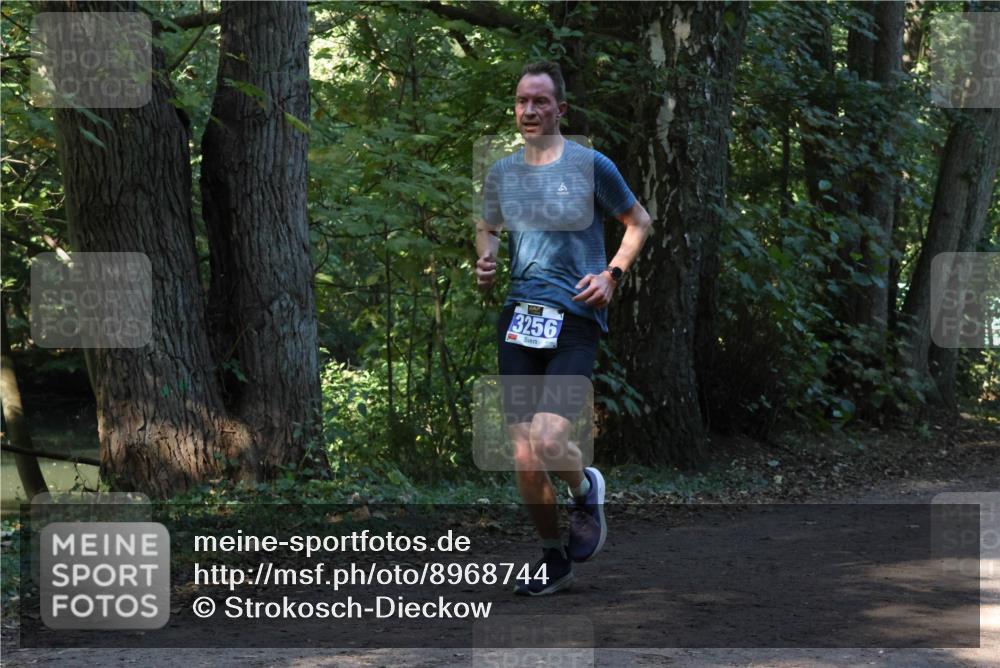 28.09.2025 - 33. Volkslauf durch das schöne Alstertal Strokosch-Dieckow http://msf.ph/oto/8968744 28.09.2025 11:14:24 Laufen  meine-sportfotos.de
